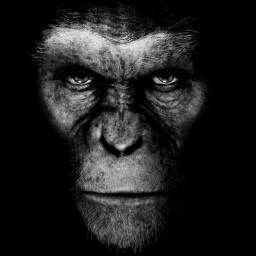 Rafiki 