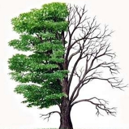 Branched off 