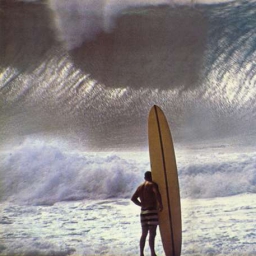 Gone Surfing 