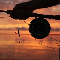 Catch And Release 