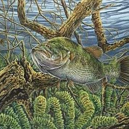 MasterAngler 