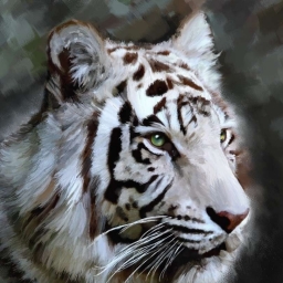 MGTOW Tiger 