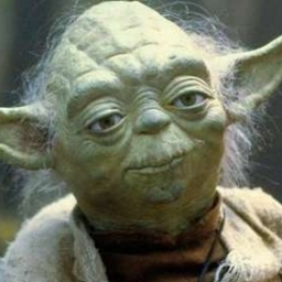 The Dark Jedi 