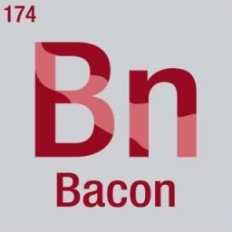 UnitedStatesofBacon 