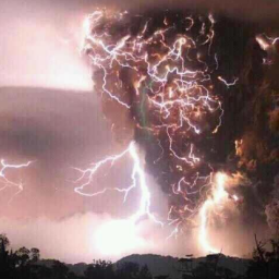 Force of Nature 225 