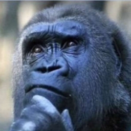 ThinkingApe 