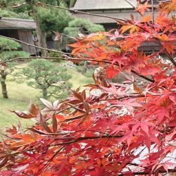 Kaowaru 