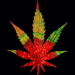 RedPillGreenMedicine 