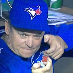 C Leafs 