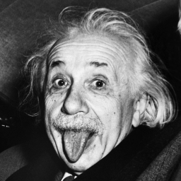 Albert Einstein 
