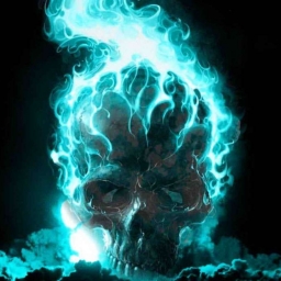 FitzBones 