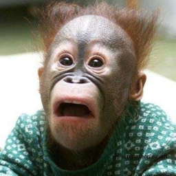 MonkeyBurps 