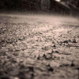 Petrichor 