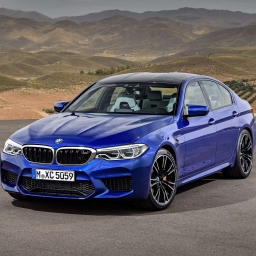 Beemer man 