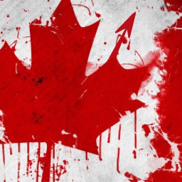 EscapedMentalPatient 