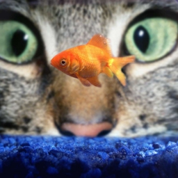 Eyeswideopen 