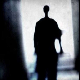 Shadow 