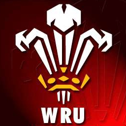 Welshhibby 