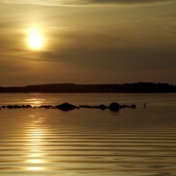 RisingSun 