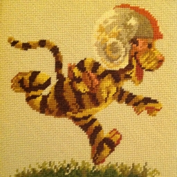 Wally 