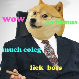 DogeGHOW 