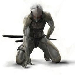 Ninja 